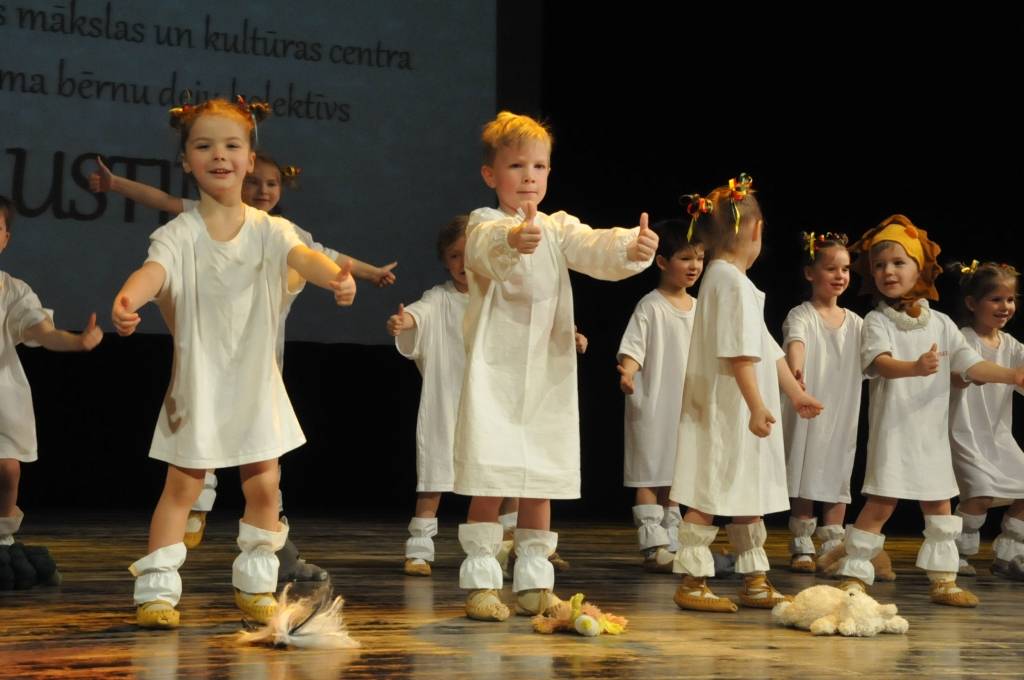 Aluksniesiem.lv raksta attēla aizvietotājs