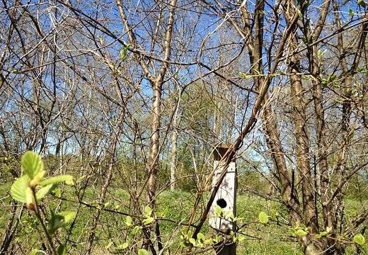 Autors: Publicitātes foto