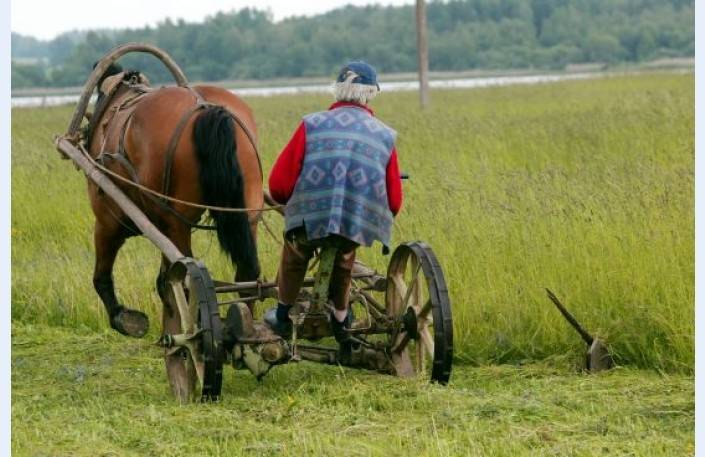 Autors: Uldis Briedis, Dienas mediji