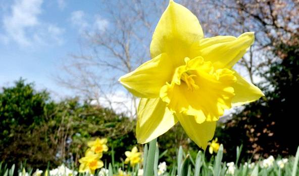 Autors: www.flickr.com