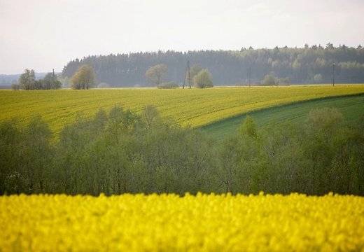 Autors: Publicitātes foto