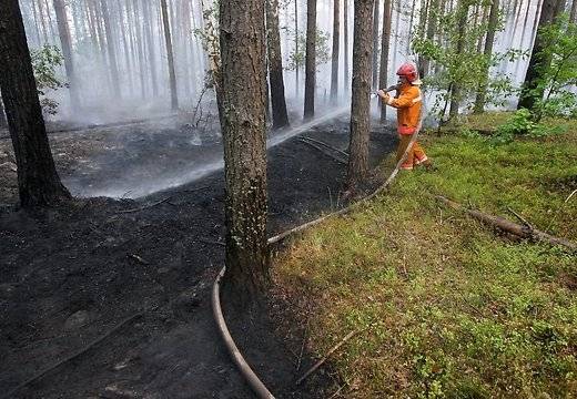 Autors: Publicitātes foto