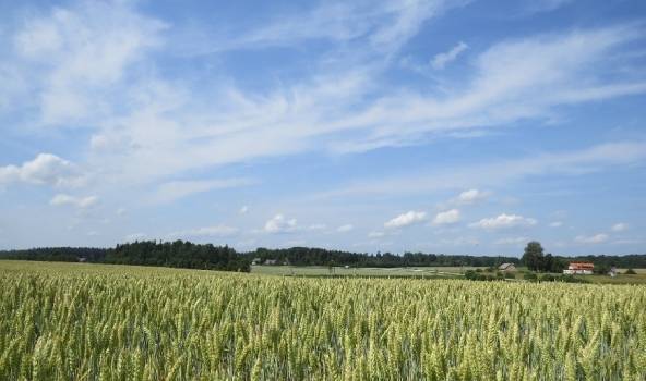 Autors: Publicitātes foto