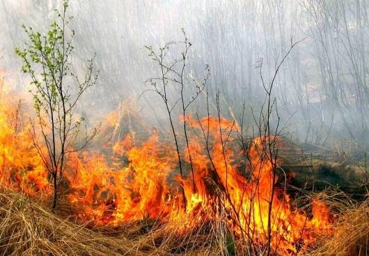 Autors: www.focus.lv