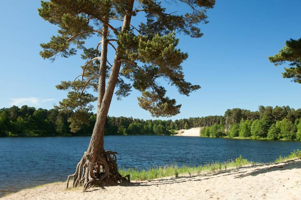 Autors: Publicitātes foto