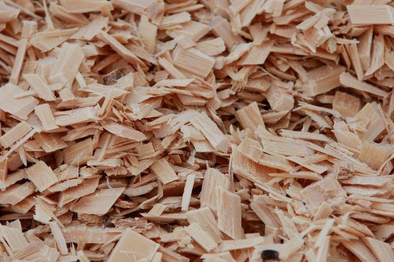 Autors: www.lvportals.lv