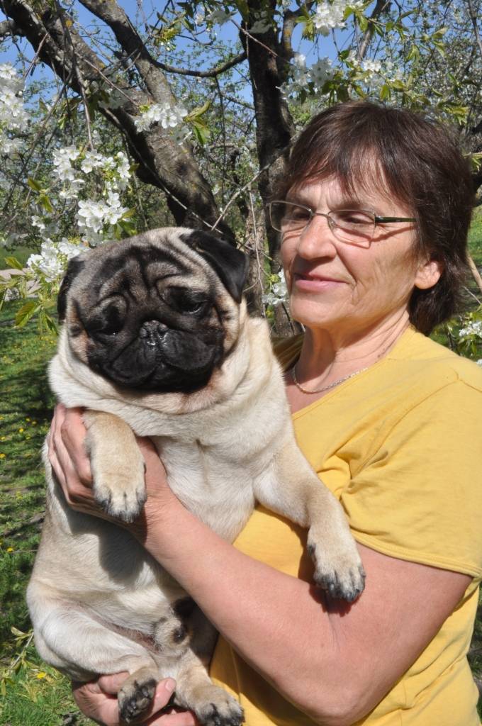 Autors: Dainis Ģelzis