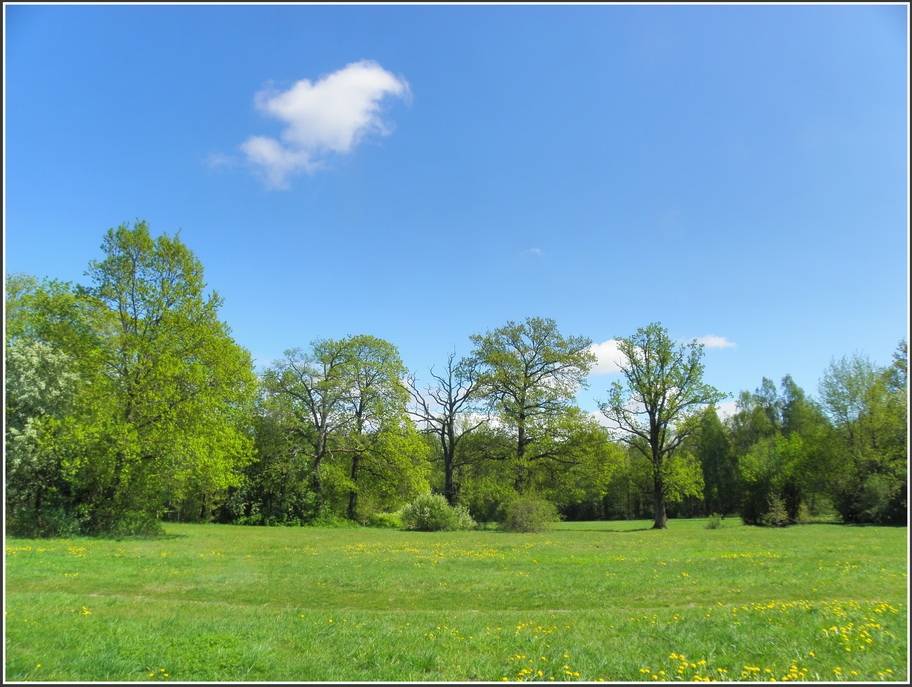 Autors: Publicitātes foto