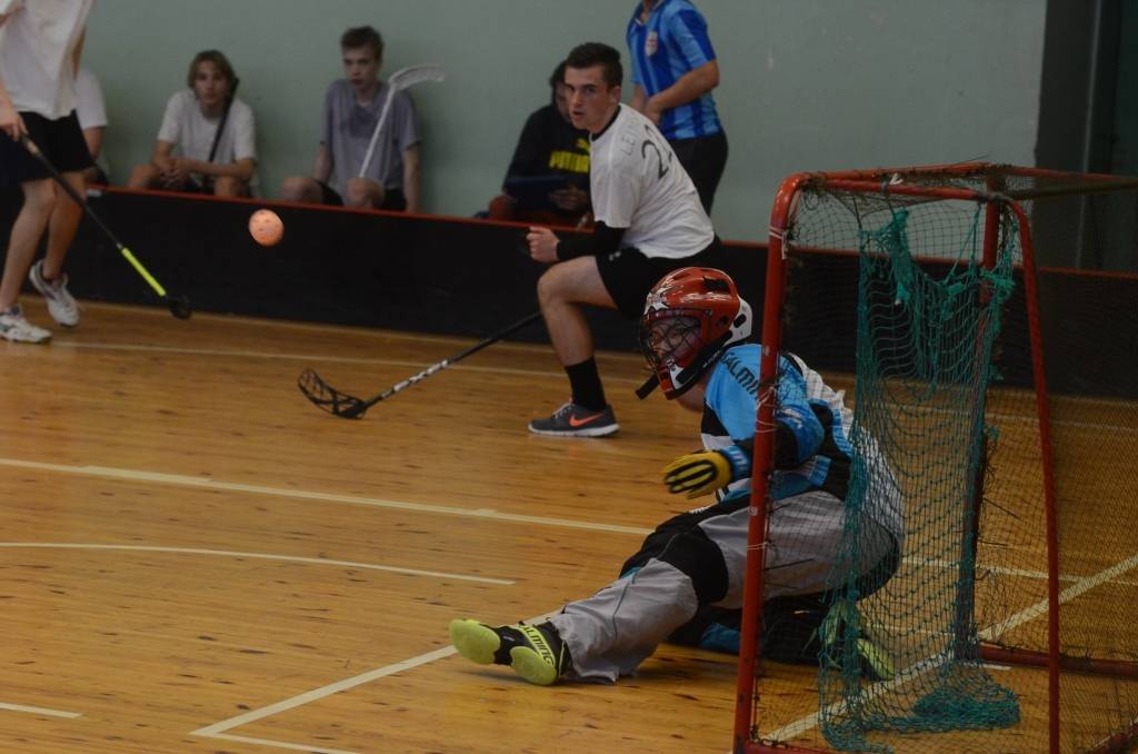 Autors: Uldis Dobelis