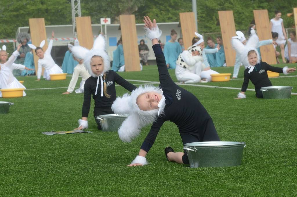 Aluksniesiem.lv raksta attēla aizvietotājs