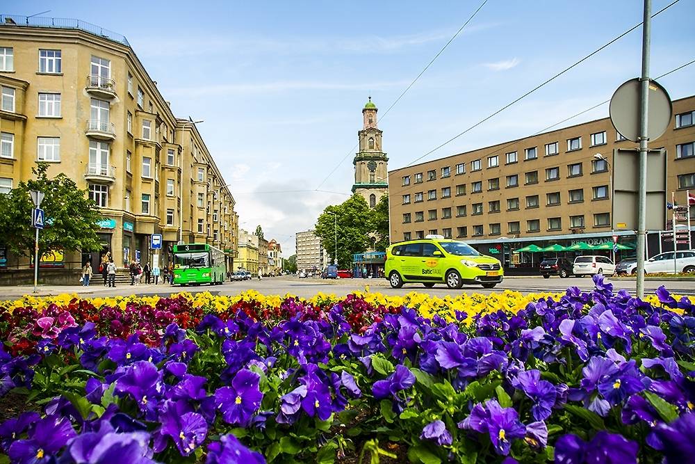 Autors: Publicitātes foto