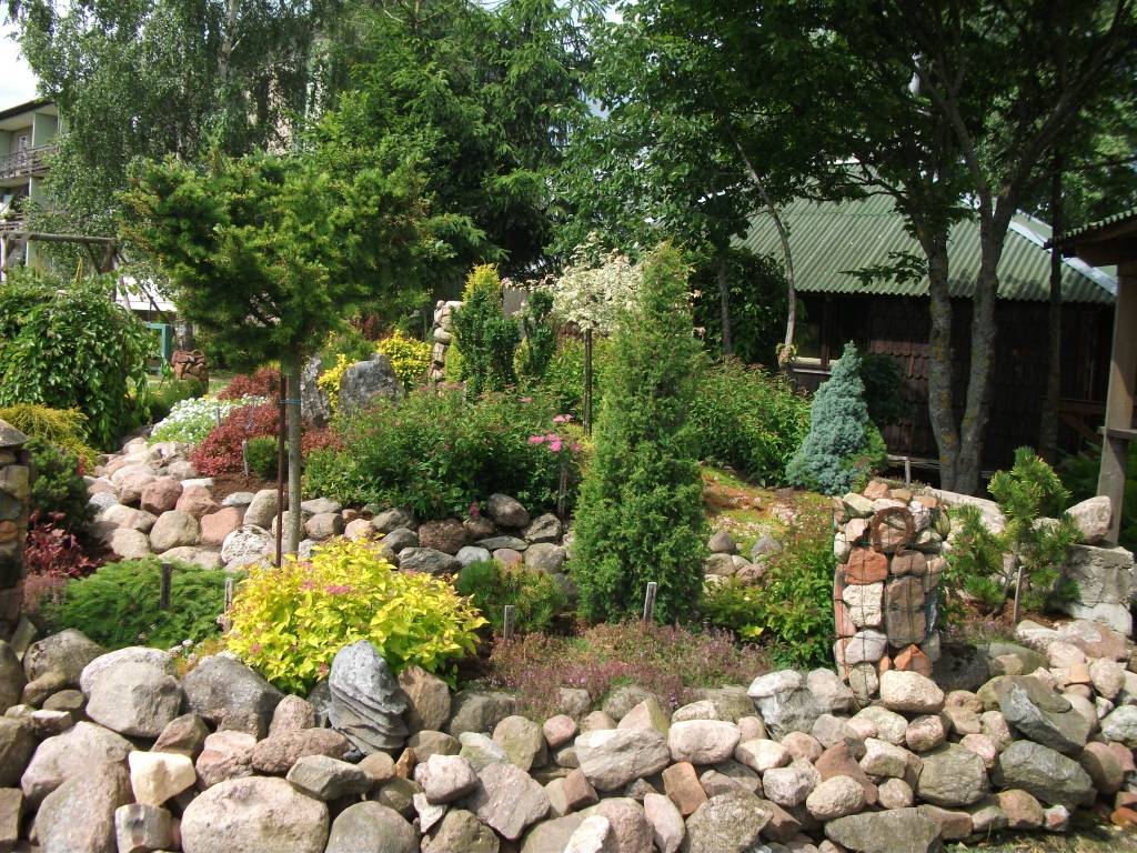 Aluksniesiem.lv raksta attēla aizvietotājs