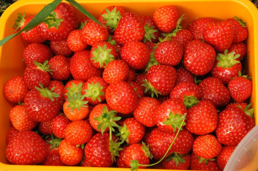 Autors: Dainis Ģelzis