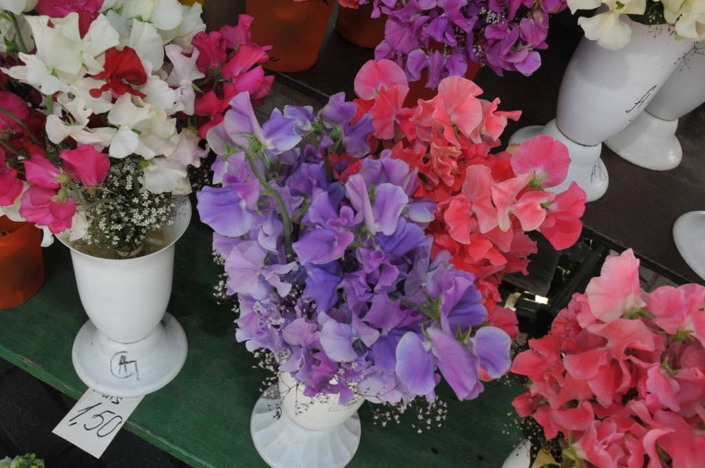 Autors: Dainis Ģelzis