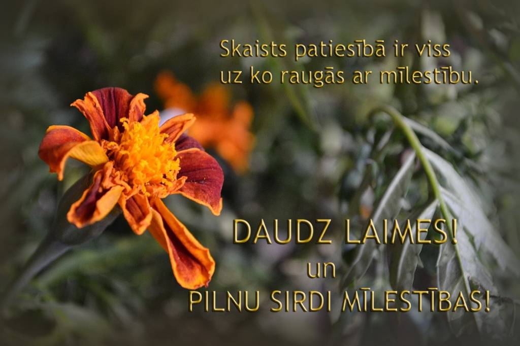 Autors: www.tiesraides.lv