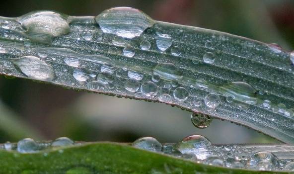 Autors: meteolapa.lv