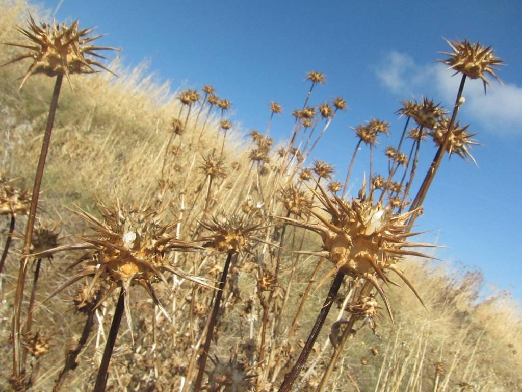 Autors: Organizatoru foto