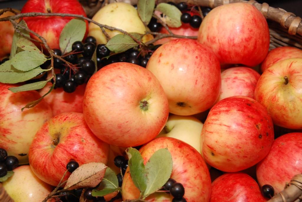 Autors: Dainis Ģelzis