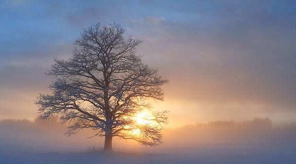 Autors: Arnis Janovs