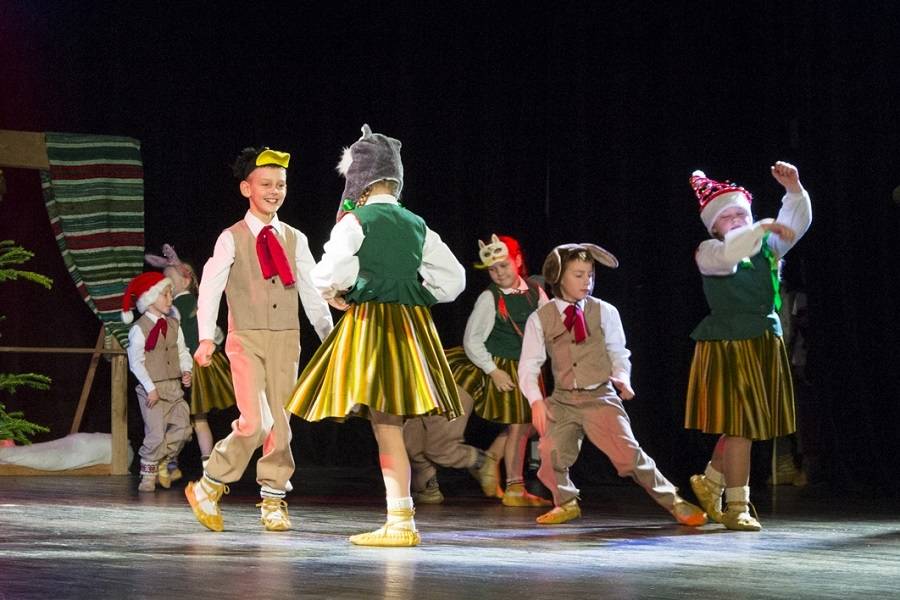 Aluksniesiem.lv raksta attēla aizvietotājs