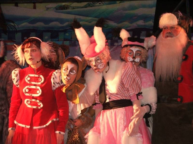 Aluksniesiem.lv raksta attēla aizvietotājs