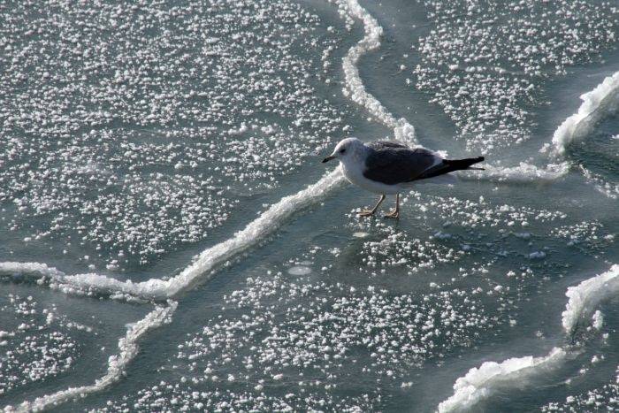 Autors: kasnotiek.com