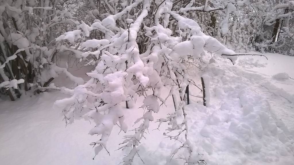 Autors: Uldis Dobelis 