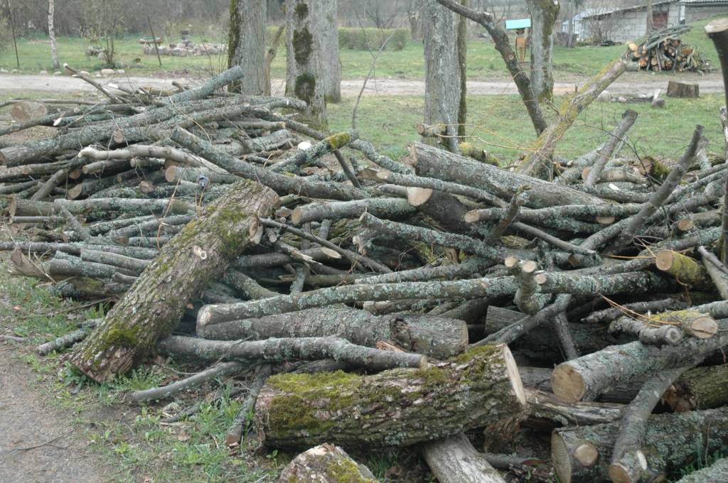 Autors: Dainis Ģelzis