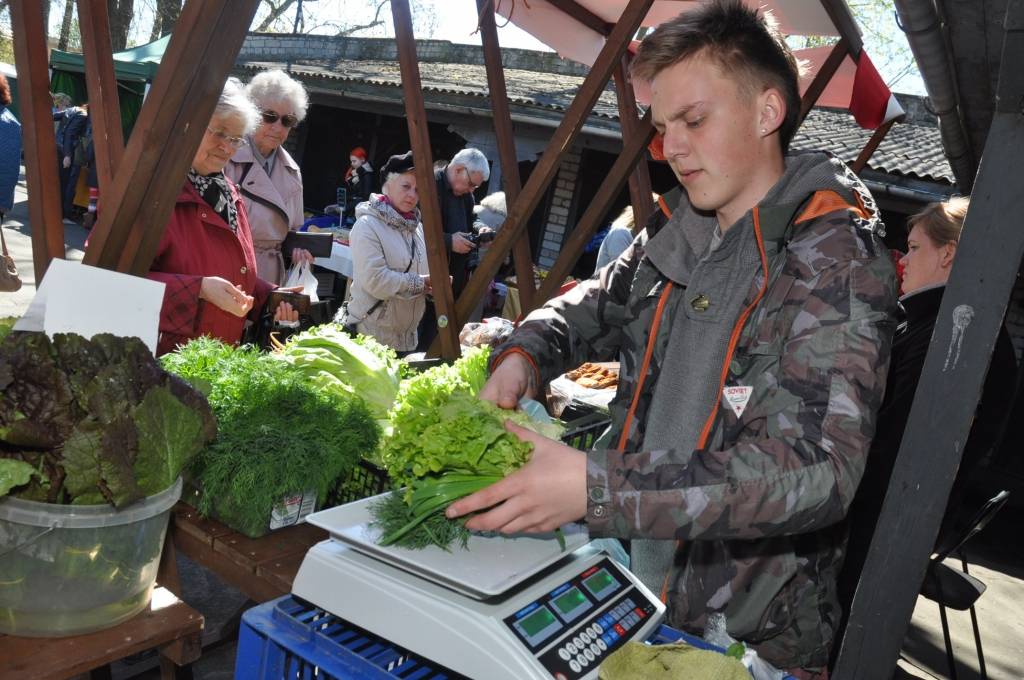 Aluksniesiem.lv raksta attēla aizvietotājs