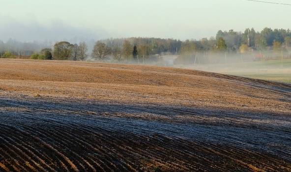Autors: meteolapa.lv