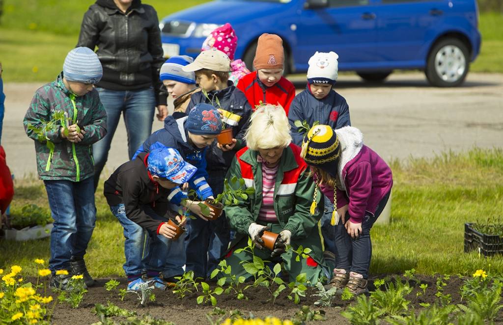 Aluksniesiem.lv raksta attēla aizvietotājs