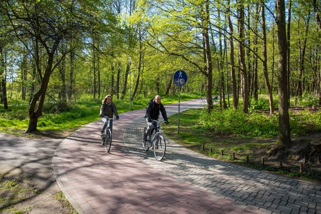 Autors: Edgars Beņislavskis