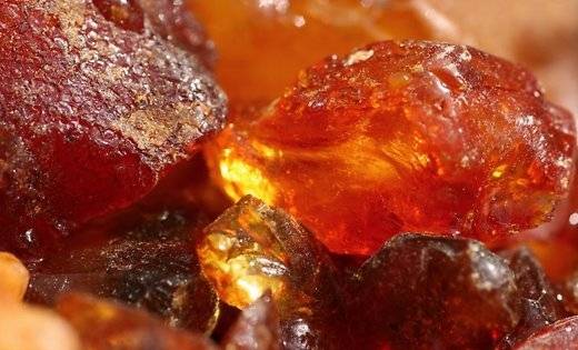 Autors: PantherMedia/Scanpix 