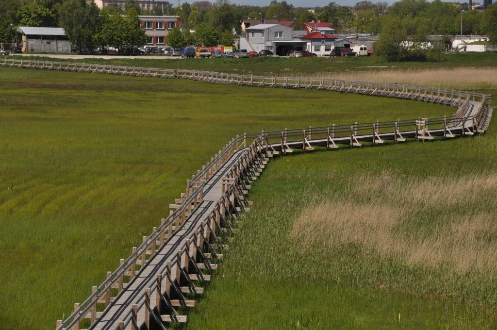 Autors: Dainis Ģelzis