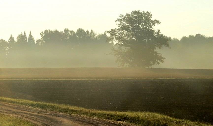 Autors: meteolapa.lv