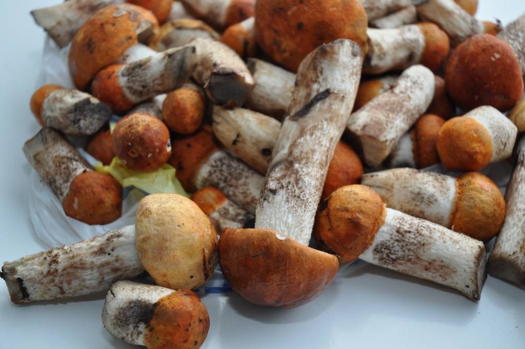 Autors: Dainis Ģelzis