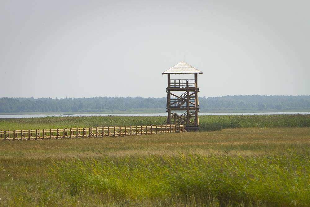 Autors: www.liepaja.lv