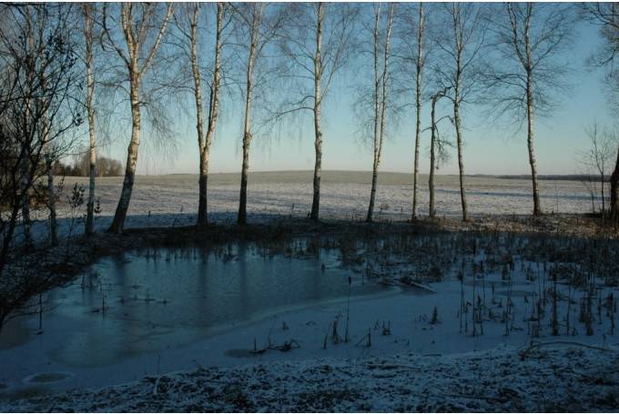 Autors: Dainis Ģelzis