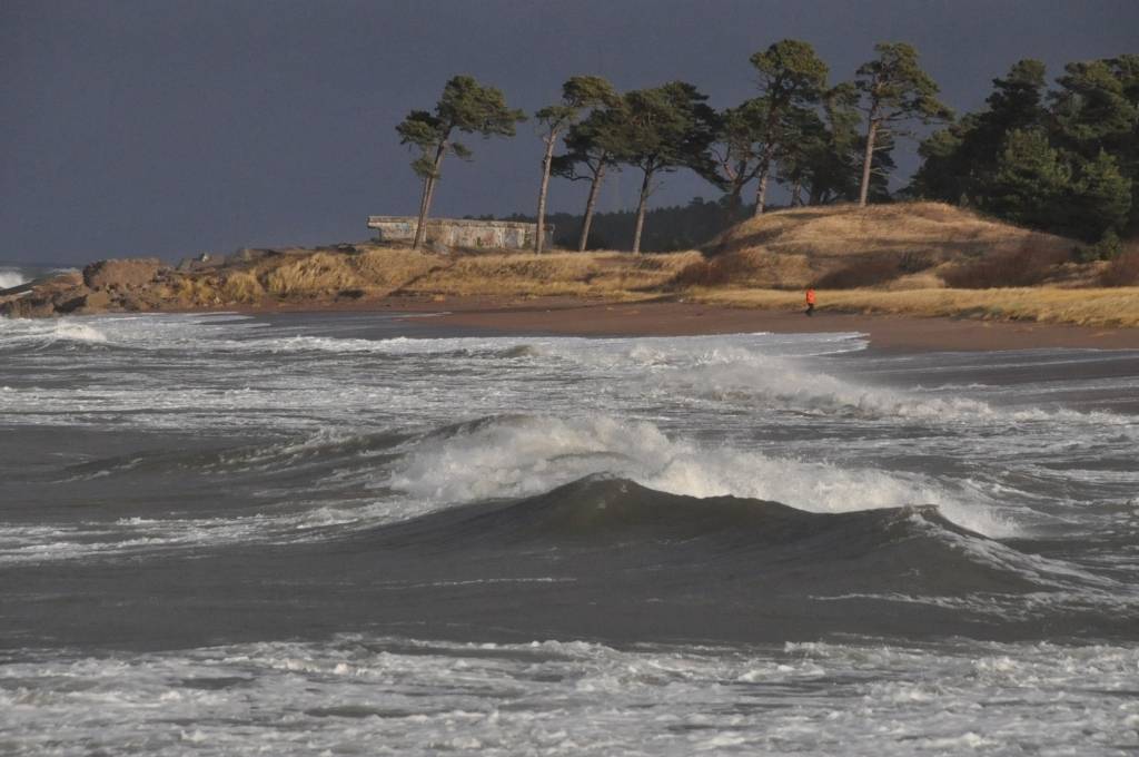 Autors: Dainis Ģelzis