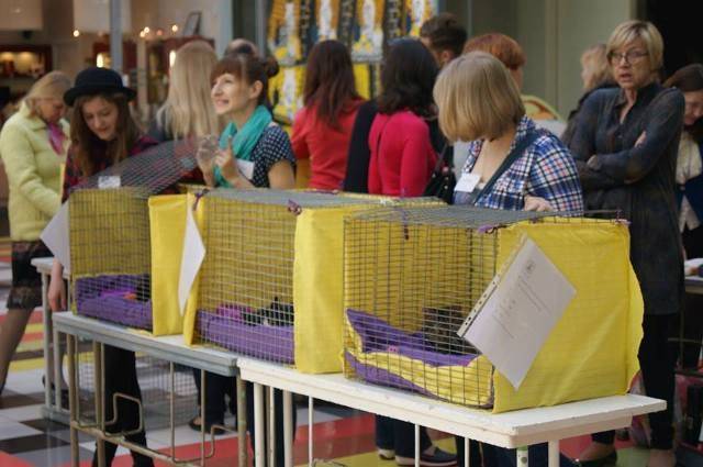 Autors: Publicitātes foto