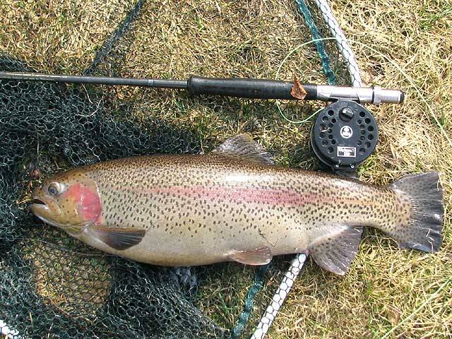 Autors: www.fishing.lv