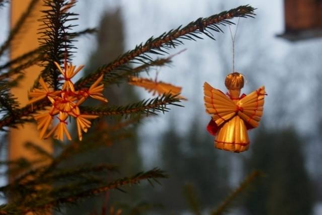 Autors: old.puaro.lv