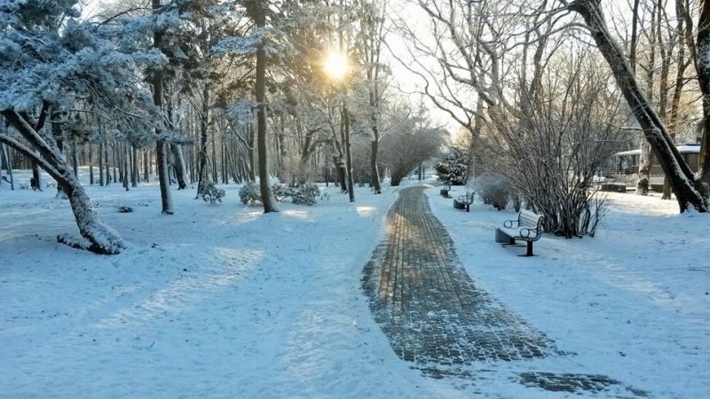 Autors: Raitis Karlsons