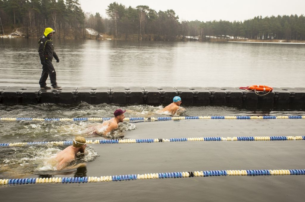 Autors: Aigars Prūsis