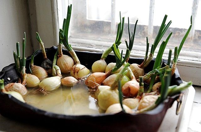 Autors: www.tvnet.lv