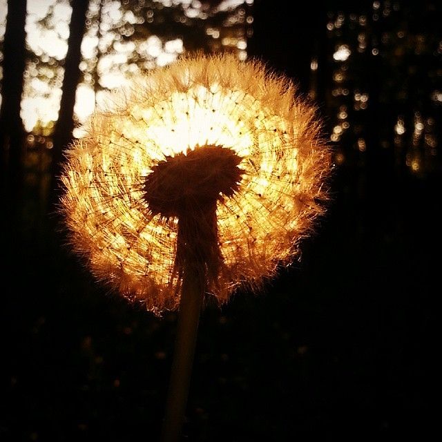 Autors: Publicitātes foto