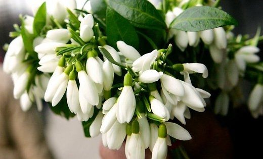 Autors: www.delfi.lv