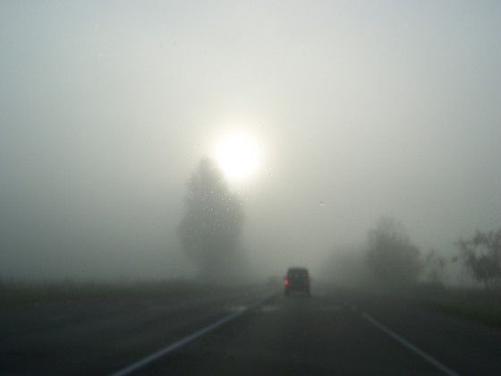 Autors: foto.delfi.lv