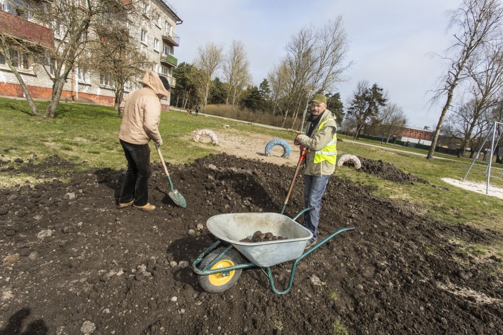 Autors: Aigars Prūsis