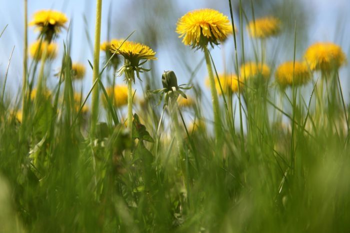 Autors: apollo.tvnet.lv